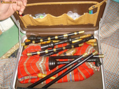 Instrumente Muzicale Populare de Suflat foto