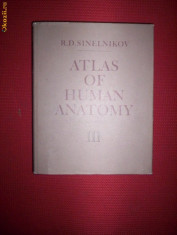 Sinelnikov-Atlas de anatomie umana/vol.3(in lb.engleza) foto