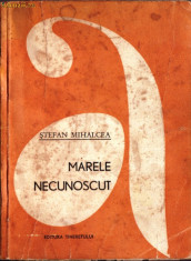 MARELE NECUNOSCUT de STEFAN MIHALCEA foto