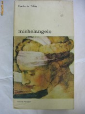 CHARLES DE TOLNAY - MICHELANGELO foto