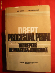 Drept Procesual Penal -Indreptar Practica Juridica 1982 foto