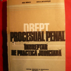 Drept Procesual Penal -Indreptar Practica Juridica 1982
