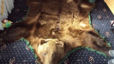 Vand Piele de Urs foto