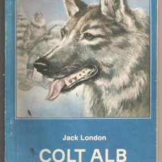 (C244) "COLT ALB" DE JACK LONDON