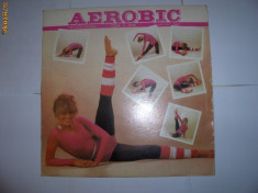 Disc vinil LP Neoton Familia Aerobic foto