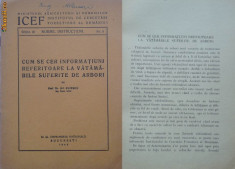 Cum se cer informatii referitoare la vatamarile suferite de arbori , 1947 foto