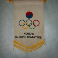 294 Fanion Comitetul Olimpic Korean