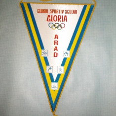 327 Fanion CLUBUL SPORTIV SCOLAR GLORIA ARAD