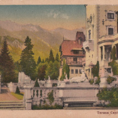 B11254 Sinaia Terasa Castelului Peles