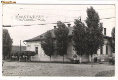 924. Valea lui Mihai primaria jud. Bihor foto