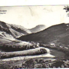 bnk cp muntii apuseni - valea ariesului - circulata 1962