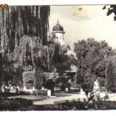 bnk cp radauti - vedere din parc - circulata 1963