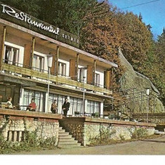 CP185-46 Risnov -Restaurantul Cetate -circulata 1983