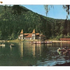 CP186-52 Tusnad -Lacul Ciucas (RPR) -carte postala necirculata