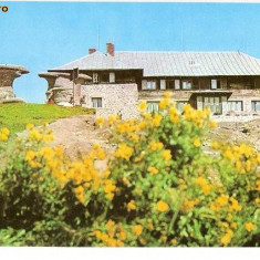 CP186-98 Muntii Bucegi -Cabana Babele -carte postala necirculata