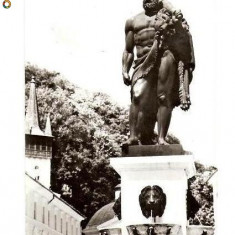 CP189-74 Baile Herculane. Statuia lui Hercule -carte postala necirculata