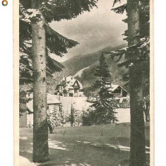 CP189-81 Predeal -Vedere spre Cioplea -RPR -carte postala circulata 1955 -sepia