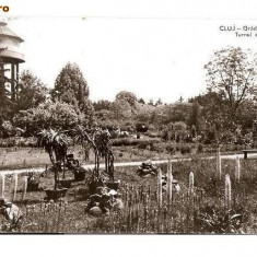 CP189-03 Cluj -Gradina botanica- Turnul de apa -RPR -carte postala circulata 1962