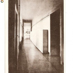 CP190-65 ,,MARIANUM", Kolozsvar (reprint)-carte postala necirculata