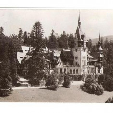 CP190-42 Sinaia -Muzeul Peles -RPR -carte postala circulata 1963?