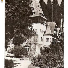 CP190-09 Sinaia-Pelisorul -RPR -carte postala circulata 1958