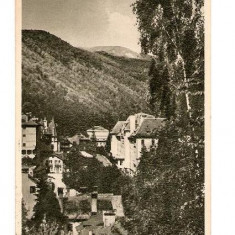 CP190-96 Sinaia -Vedere de pe Furnica -RPR -sepia -carte postala circulata 1955