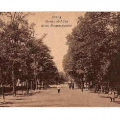 CP191-100 Braila.Denkmal-Allee -Aleia Monumentului -carte postala circulata 1930 , la Cernauti