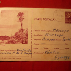 Carte Postala Ilustrata intitulata INDRAZNETUL cod 36b/1962