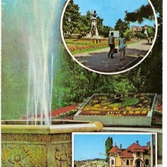 CP193-98 Braila. (Ceasul floral) -carte postala necirculata