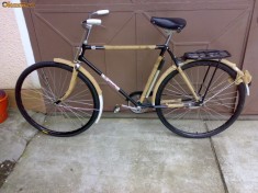 PEGAS IDEAL NOU!!!!!! foto