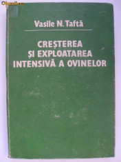 Vasile N. Tafta - Cresterea si exploatarea intensiva a ovinelor (1983) foto