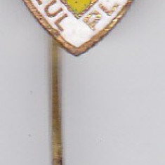 Insigna pin FC Petrolul Ploiesti - anii 80