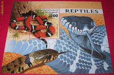 SAHARA 1998 - COLITA SERPI - REPTILE - NEUZATA foto