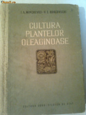 CULTURA PLANTELOR OLEAGINOASE ~I.A. MINCHEVICI &amp;amp;amp; V.E. BOROCOVSCHI foto