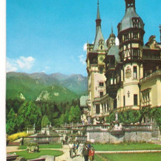 carte postala(ilustrata)-SINAIA-Muzeul Peles