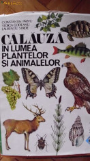 *CALAUZA IN LUMEA PLANTELOR SI ANIMALELOR foto