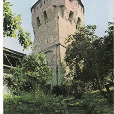 ilustrata-SIGHISOARA-Turnul cositorarilor