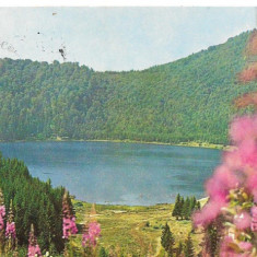 carte postala(ilustrata)-TUSNAD-Lacul Sf Ana