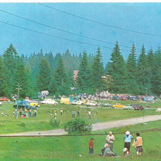 carte postala(ilustrata)-COVASNA-Valea Zanelor