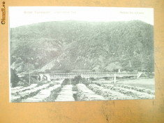 Carte postala Caineni Podul 1917 foto