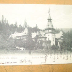 Carte postala Salutare din Sinaia Castelul Peles