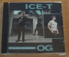 Ice T - Original Gangster foto