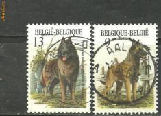 Belgia 1986 - CAINE CIOBANESC BELGIAN MALINOIS, 2 timbre stampilate A171 foto