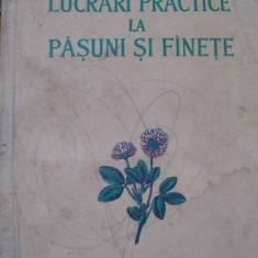 LUCRARI PRACTICE LA PASUNI SI FINETE