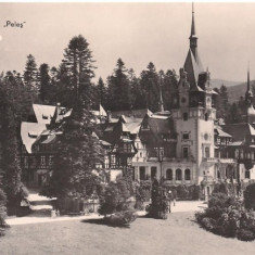 carte postala-SINAIA-Muzeul Peles