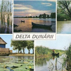 CP197-96 Delta Dunarii -scrisa -carte postala, necirculata -starea care se vede