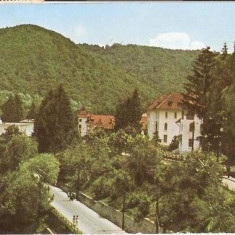 CP198-87 Olanesti -carte postala, circulata 1968 -starea care se vede