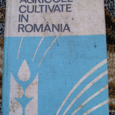 SOIURI DE PLANTE AGRICOLE CULTIVATE IN ROMANIA