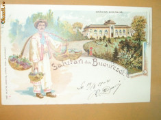 Carte Postala Litografie Bucuresci Gradina Botanica foto