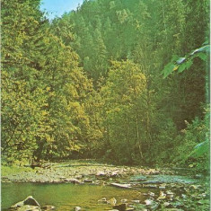 CP200-29 Valea Slanicului la Slanic-Moldova -carte postala, circulata 1976 -starea care se vede